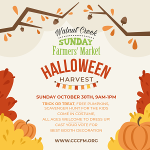 WCFM Halloween Harvest